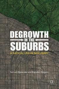 bokomslag Degrowth in the Suburbs