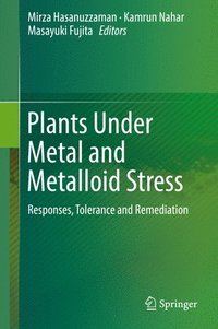 bokomslag Plants Under Metal and Metalloid Stress