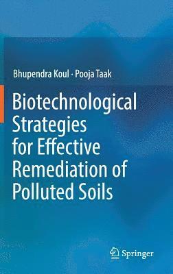 bokomslag Biotechnological Strategies for Effective Remediation of Polluted Soils