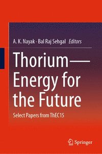 bokomslag ThoriumEnergy for the Future