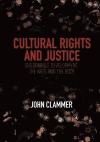 bokomslag Cultural Rights and Justice