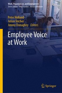 bokomslag Employee Voice at Work
