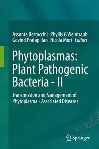 bokomslag Phytoplasmas: Plant Pathogenic Bacteria - II