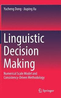 bokomslag Linguistic Decision Making