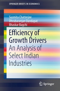 bokomslag Efficiency of Growth Drivers