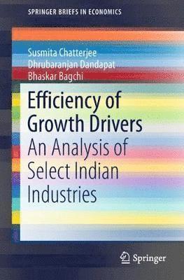 Efficiency of Growth Drivers 1