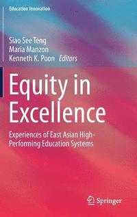 bokomslag Equity in Excellence