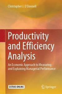 bokomslag Productivity and Efficiency Analysis