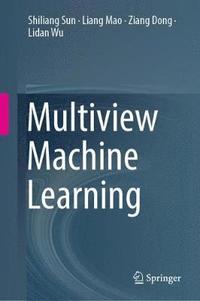 bokomslag Multiview Machine Learning