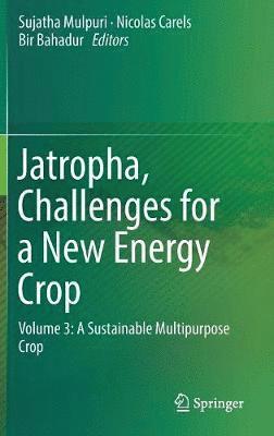 bokomslag Jatropha, Challenges for a New Energy Crop