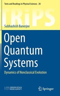 bokomslag Open Quantum Systems