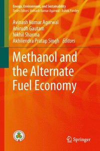 bokomslag Methanol and the Alternate Fuel Economy