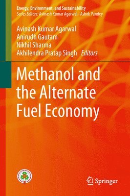 bokomslag Methanol and the Alternate Fuel Economy