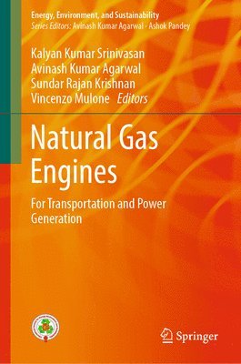 bokomslag Natural Gas Engines