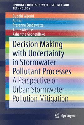 bokomslag Decision Making with Uncertainty in Stormwater Pollutant Processes