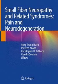 bokomslag Small Fiber Neuropathy and Related Syndromes: Pain and Neurodegeneration