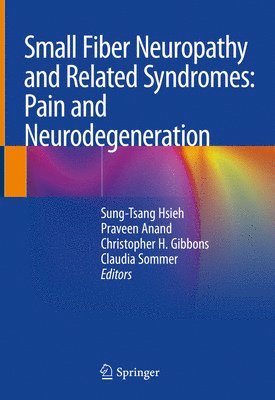 bokomslag Small Fiber Neuropathy and Related Syndromes: Pain and Neurodegeneration