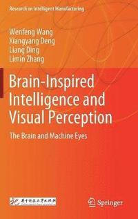 bokomslag Brain-Inspired Intelligence and Visual Perception