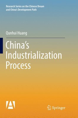 bokomslag China's Industrialization Process