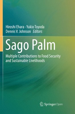 Sago Palm 1