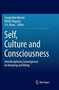 bokomslag Self, Culture and Consciousness