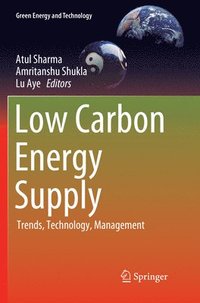 bokomslag Low Carbon Energy Supply