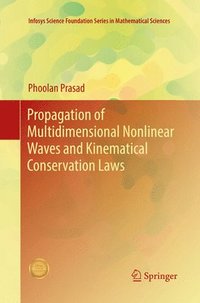 bokomslag Propagation of Multidimensional Nonlinear Waves and Kinematical Conservation Laws