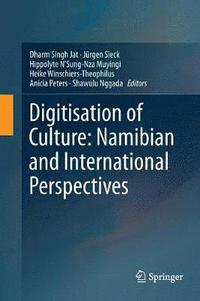 bokomslag Digitisation of Culture: Namibian and International Perspectives