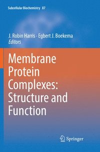 bokomslag Membrane Protein Complexes: Structure and Function