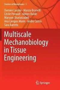 bokomslag Multiscale Mechanobiology in Tissue Engineering