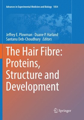 bokomslag Hair Fibre: Proteins, Structure and Development