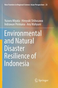 bokomslag Environmental and Natural Disaster Resilience of Indonesia