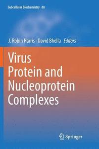bokomslag Virus Protein and Nucleoprotein Complexes