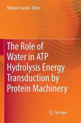 Role of Water in ATP Hydrolysis Energy Transduction by Protein Machinery