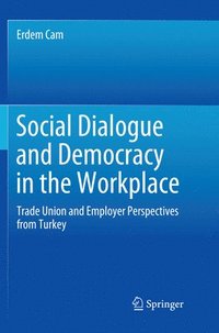 bokomslag Social Dialogue and Democracy in the Workplace
