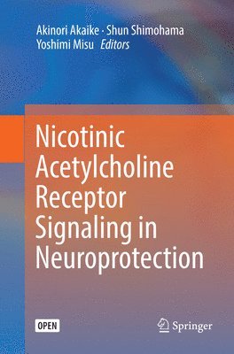 bokomslag Nicotinic Acetylcholine Receptor Signaling in Neuroprotection