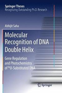 bokomslag Molecular Recognition of DNA Double Helix