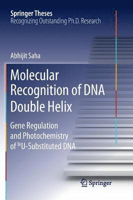 bokomslag Molecular Recognition of DNA Double Helix