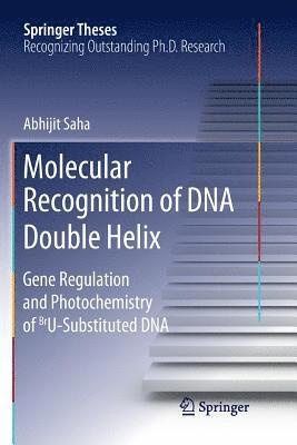 Molecular Recognition of DNA Double Helix