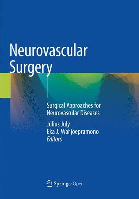 bokomslag Neurovascular Surgery