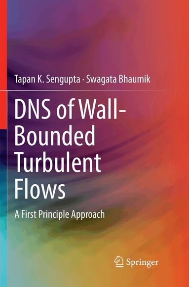 Tapan K. Sengupta, Swagata Bhaumik - DNS of Wall-Bounded Turbulent Flows, Häftad
