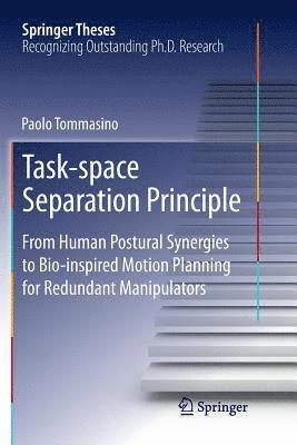 bokomslag Task-space Separation Principle