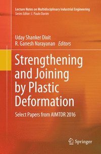 bokomslag Strengthening and Joining by Plastic Deformation