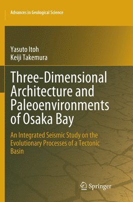 bokomslag Three-Dimensional Architecture and Paleoenvironments of Osaka Bay