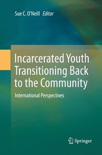 bokomslag Incarcerated Youth Transitioning Back to the Community