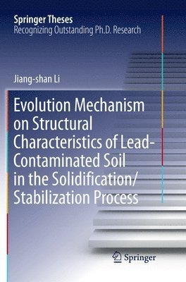 Evolution Mechanism on Structural Characteristics of Lead-Contaminated Soil in the Solidification/Stabilization Process 1