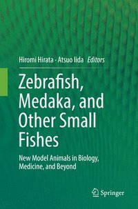 bokomslag Zebrafish, Medaka, and Other Small Fishes