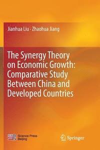 bokomslag The Synergy Theory on Economic Growth: Comparative Study Between China and Developed Countries