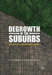 bokomslag Degrowth in the Suburbs