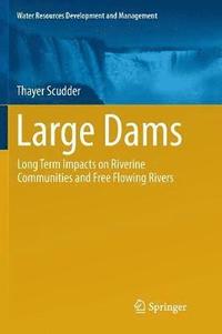 bokomslag Large Dams